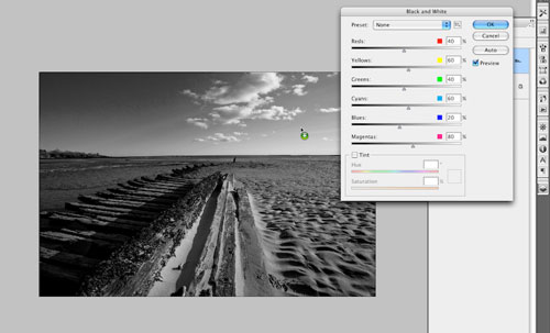 Black and White Toning in Photoshop CS3 image 3