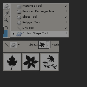 Custom Shape Tool and Shape