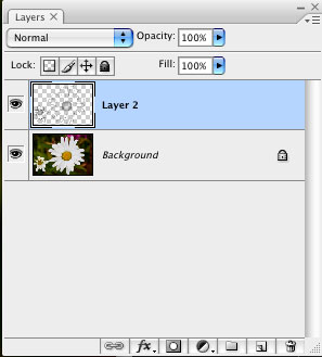 Developing Outlines in Photoshop CS3 image 8