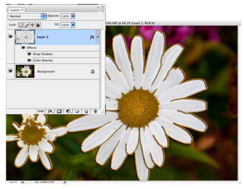Developing Outlines in Photoshop CS3 Tutorial: Final Result