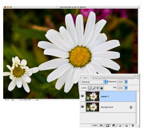 Developing Outlines in Photoshop CS3 image 1