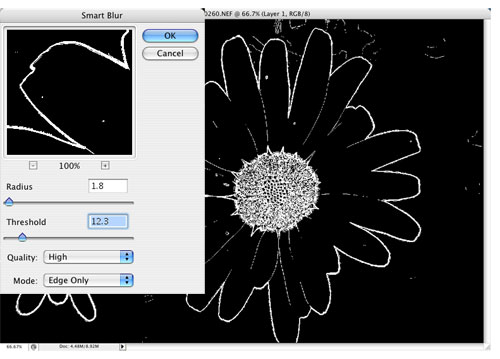 Developing Outlines in Photoshop CS3 image 2