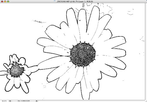 Developing Outlines in Photoshop CS3 image 3