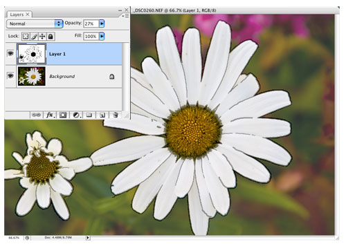 Developing Outlines in Photoshop CS3 image 5