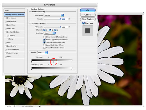 Developing Outlines in Photoshop CS3 image 6