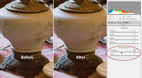 Turn Down the Noise in Photoshop CS3 image 2