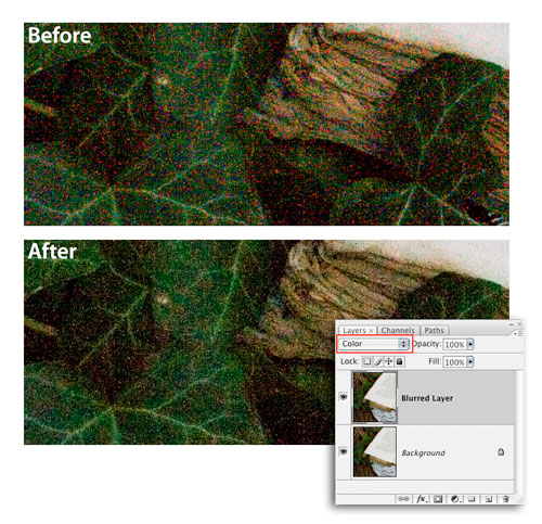 Turn Down the Noise in Photoshop CS3 image 3