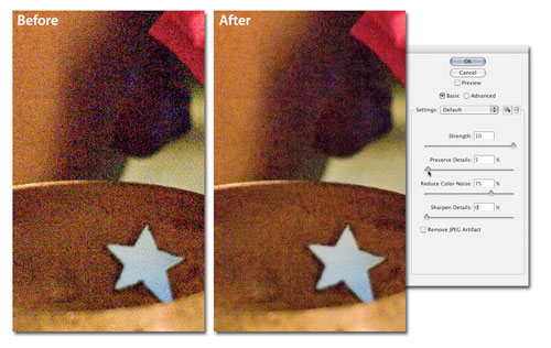 Turn Down the Noise in Photoshop CS3 image 8