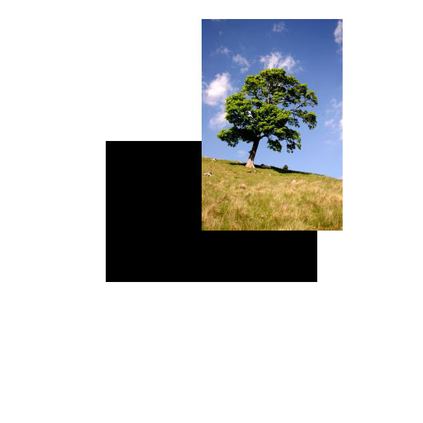 Design a Grungy Floating Island image 2