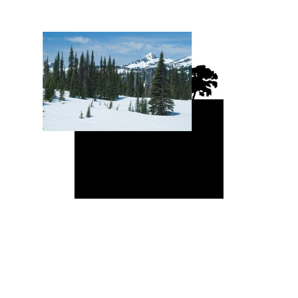 Design a Grungy Floating Island image 4