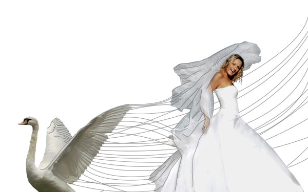 Creating a 'Swan Bride' - Fun With Paths! image 14