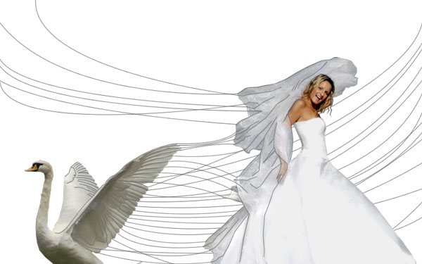 Creating a 'Swan Bride' - Fun With Paths! image 15