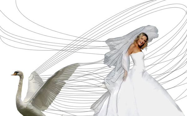 Creating a 'Swan Bride' - Fun With Paths! image 16