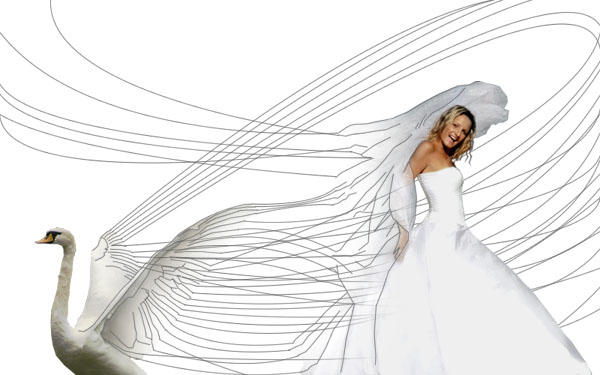 Creating a 'Swan Bride' - Fun With Paths! image 17