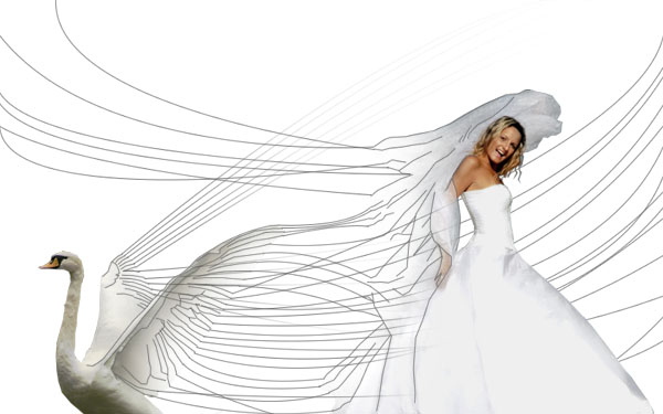 Creating a 'Swan Bride' - Fun With Paths! image 18