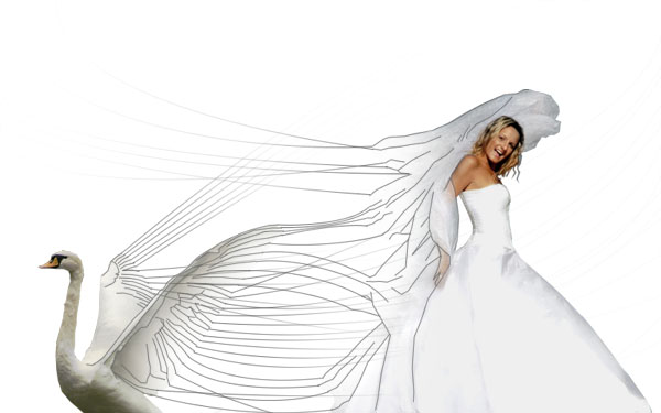 Creating a 'Swan Bride' - Fun With Paths! image 19