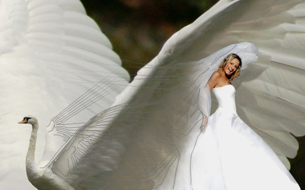 Creating a 'Swan Bride' - Fun With Paths! image 20