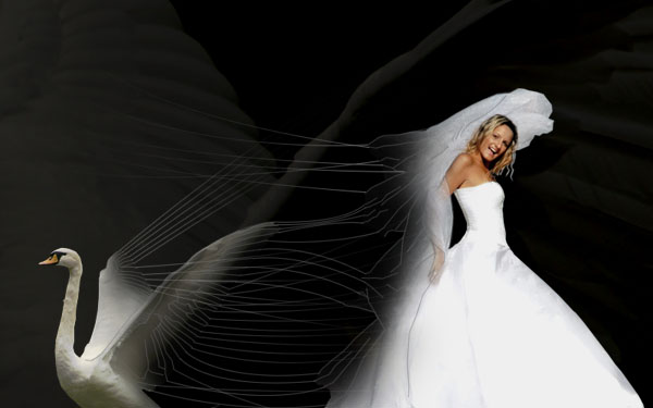 Creating a 'Swan Bride' - Fun With Paths! image 22