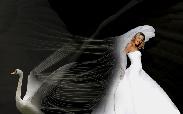 Creating a 'Swan Bride' - Fun With Paths! image 26