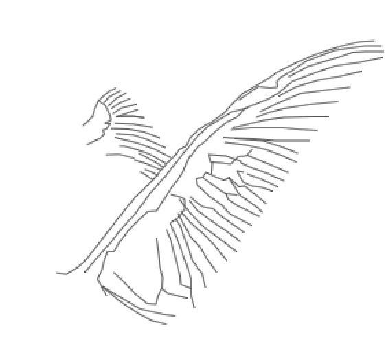 Creating a 'Swan Bride' - Fun With Paths! image 7