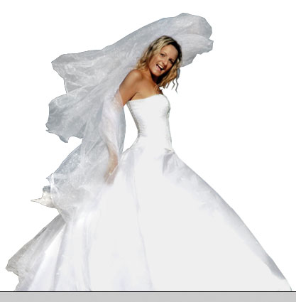 Creating a 'Swan Bride' - Fun With Paths! image 9