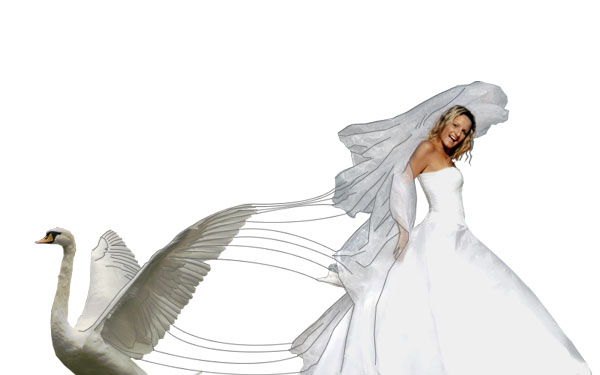 Creating a 'Swan Bride' - Fun With Paths! image 13