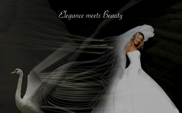 Creating a 'Swan Bride' - Fun With Paths! Tutorial: Final Result