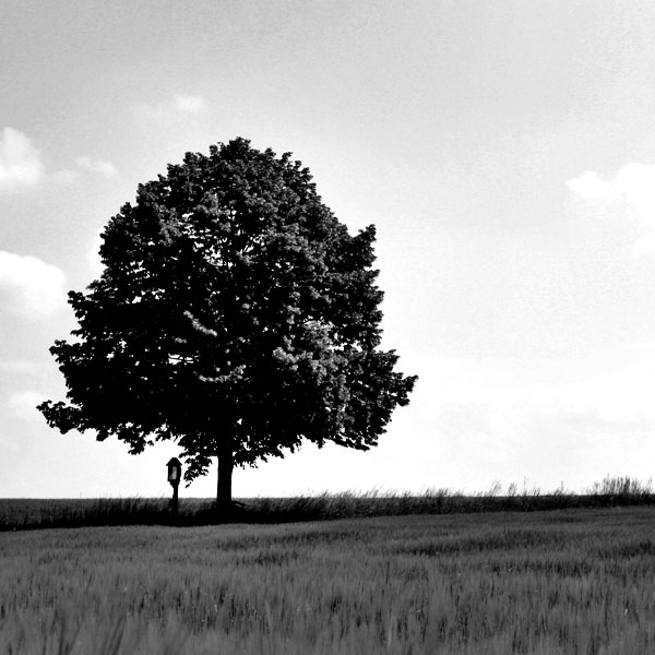Create a Magical Image using Photo Manipulation image 19