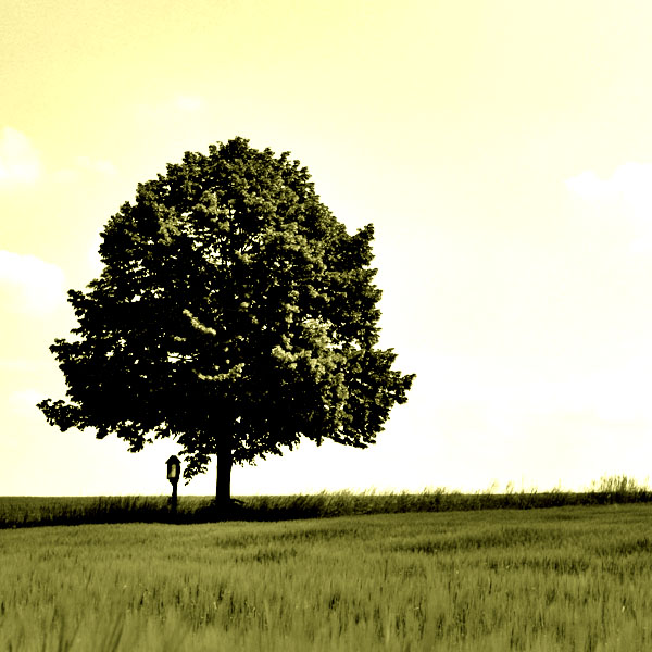 Create a Magical Image using Photo Manipulation image 21