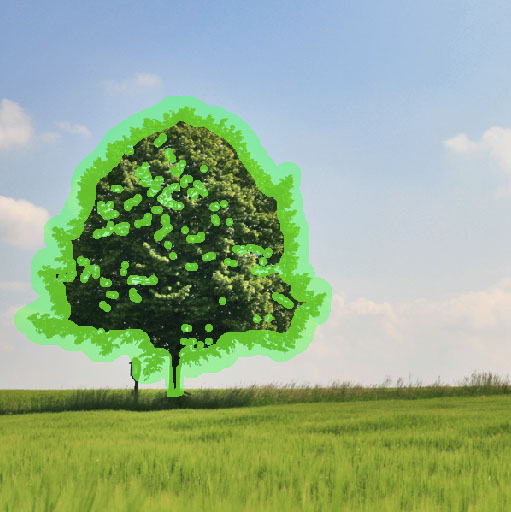 Create a Magical Image using Photo Manipulation image 2