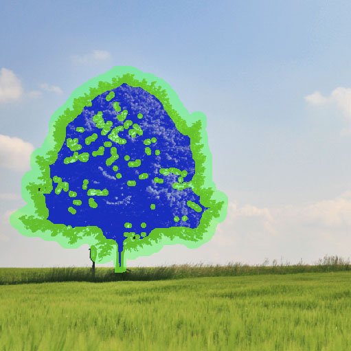 Create a Magical Image using Photo Manipulation image 3