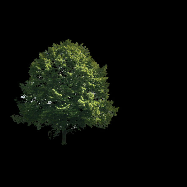 Create a Magical Image using Photo Manipulation image 5
