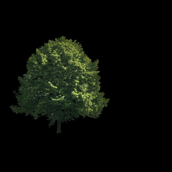 Create a Magical Image using Photo Manipulation image 6