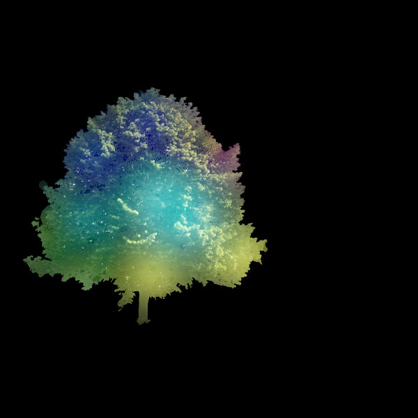 Create a Magical Image using Photo Manipulation image 9