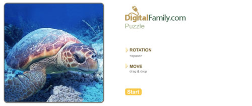 Adding Flash Files to a Webpage in Dreamweaver image 1