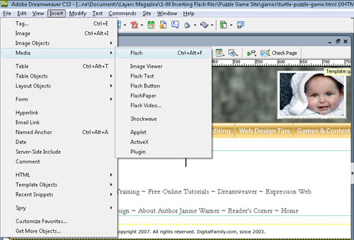 Adding Flash Files to a Webpage in Dreamweaver image 4