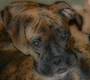 Turn a Photo into a Cartoon image 9