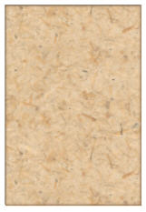 Digital Ebook Cover image 5