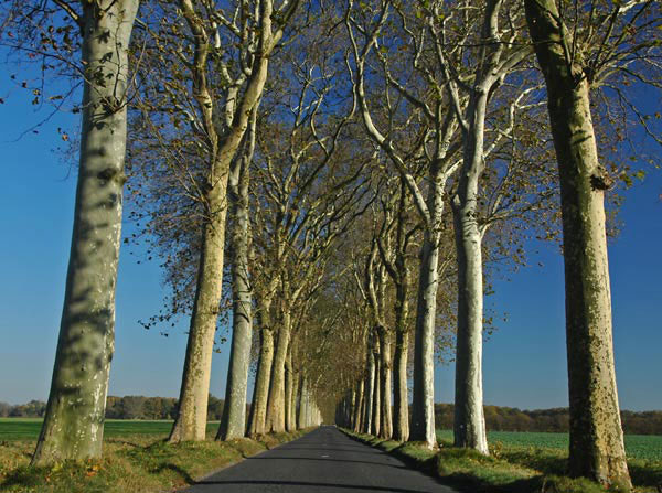 Turn a Road into Water image 1