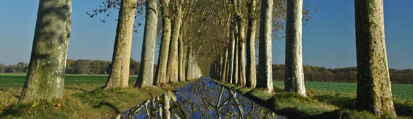 Turn a Road into Water image 4