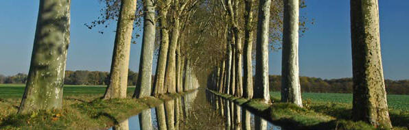 Turn a Road into Water image 5