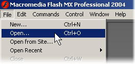 Open FLA File