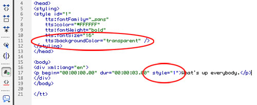 Closed-Captioned Video in Flash CS3 image 11