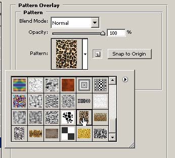 Animal Skin Text image 4