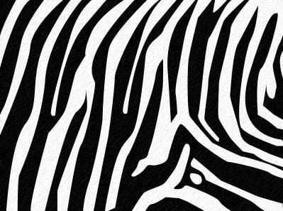 Animal Skin Text image 8
