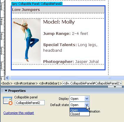 Creating Collapsible Panels with Spry in Dreamweaver image 9