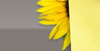 Creating a Website Template image 22