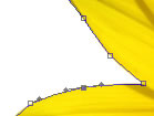 Creating a Website Template image 4