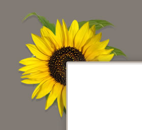 Creating a Website Template image 8