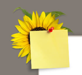 Creating a Website Template image 9